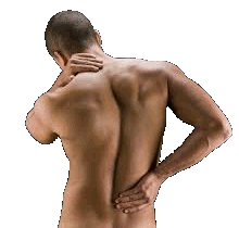 images/Back Pain 1.gif
